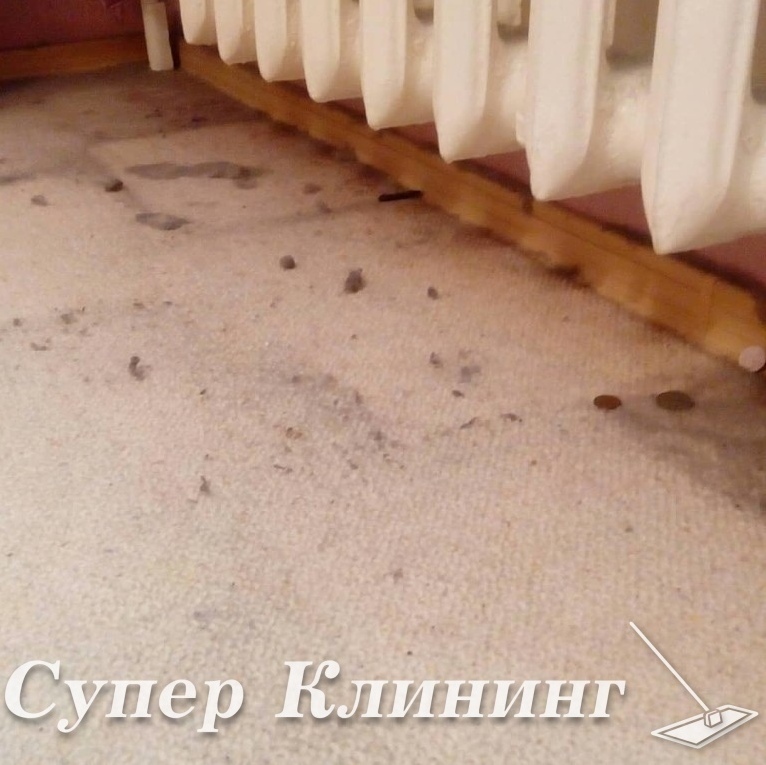 люкс уборка офисов в санкт-петербурге люкс уборка офисов в санкт-петербурге