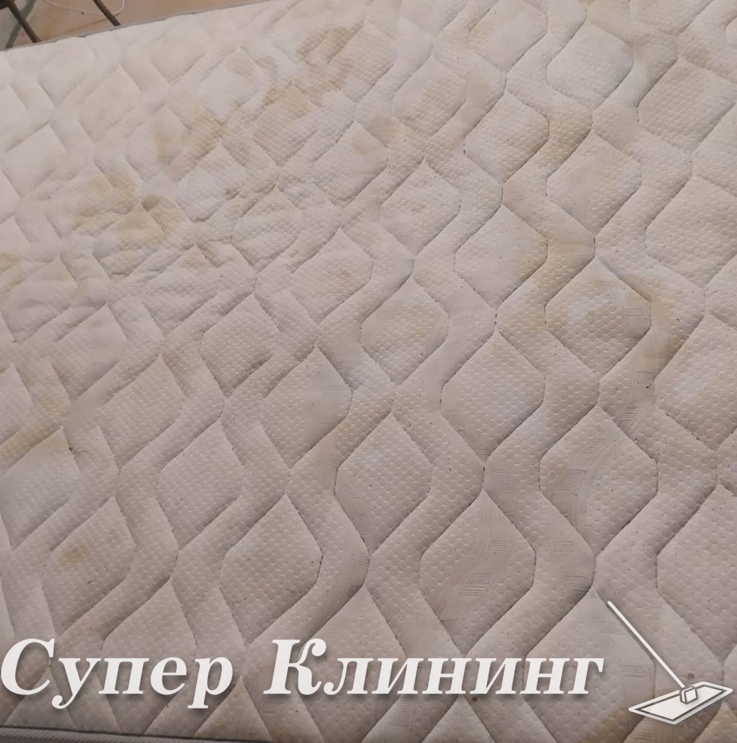 химчистка ковров на дому в санкт-петербурге химчистка ковров на дому в санкт-петербурге