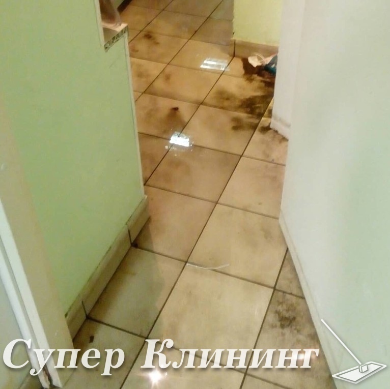 уборка офисов после потопа в санкт-петербурге уборка офисов после потопа в санкт-петербурге