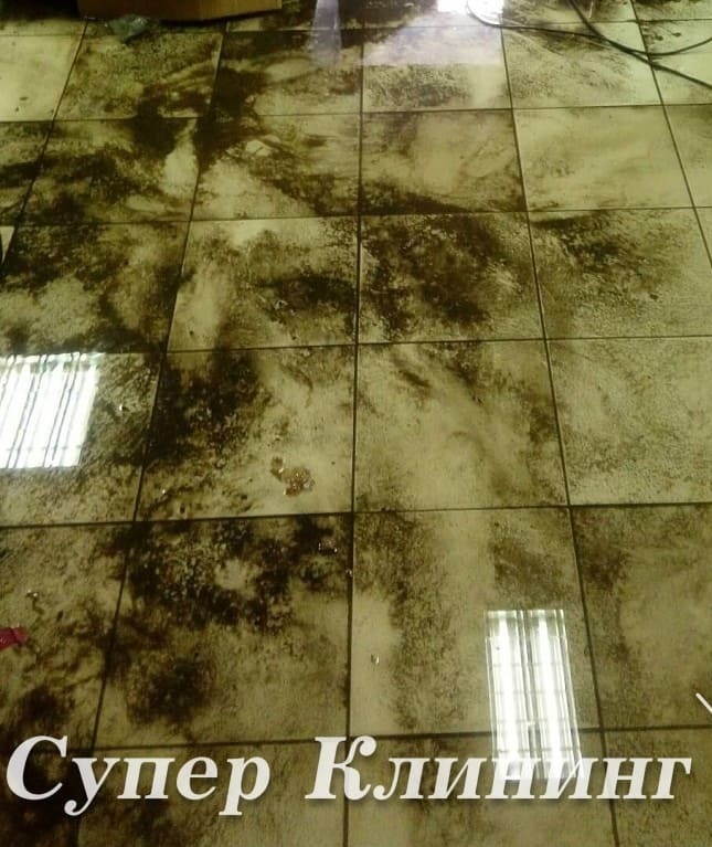 До уборки квартиры после потопа в Санкт-Петербурге До уборки квартиры после потопа